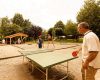 ping-pong ariege