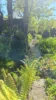 camping surba