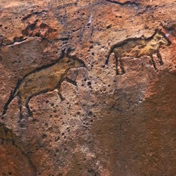 gravure bizon tarascon sur camping Niaux Ariège Le Sédour